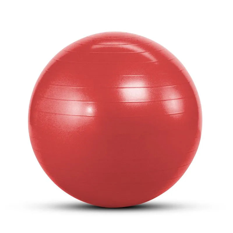 Balón Fisio 55 cm fitness