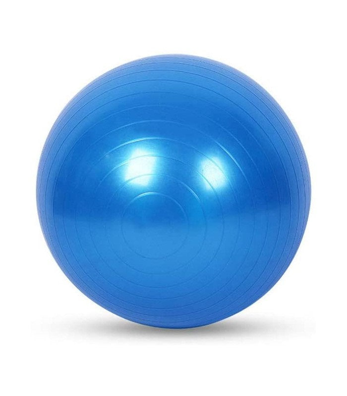 Balón Fisio 55 cm fitness