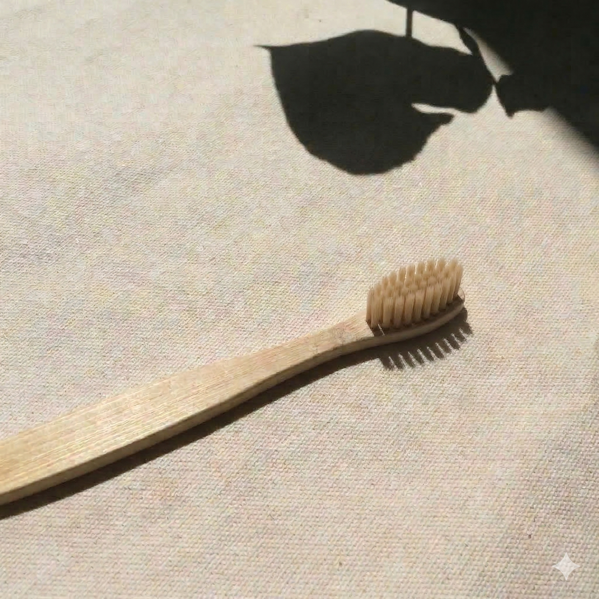 Cepillo de Dientes de Bambú