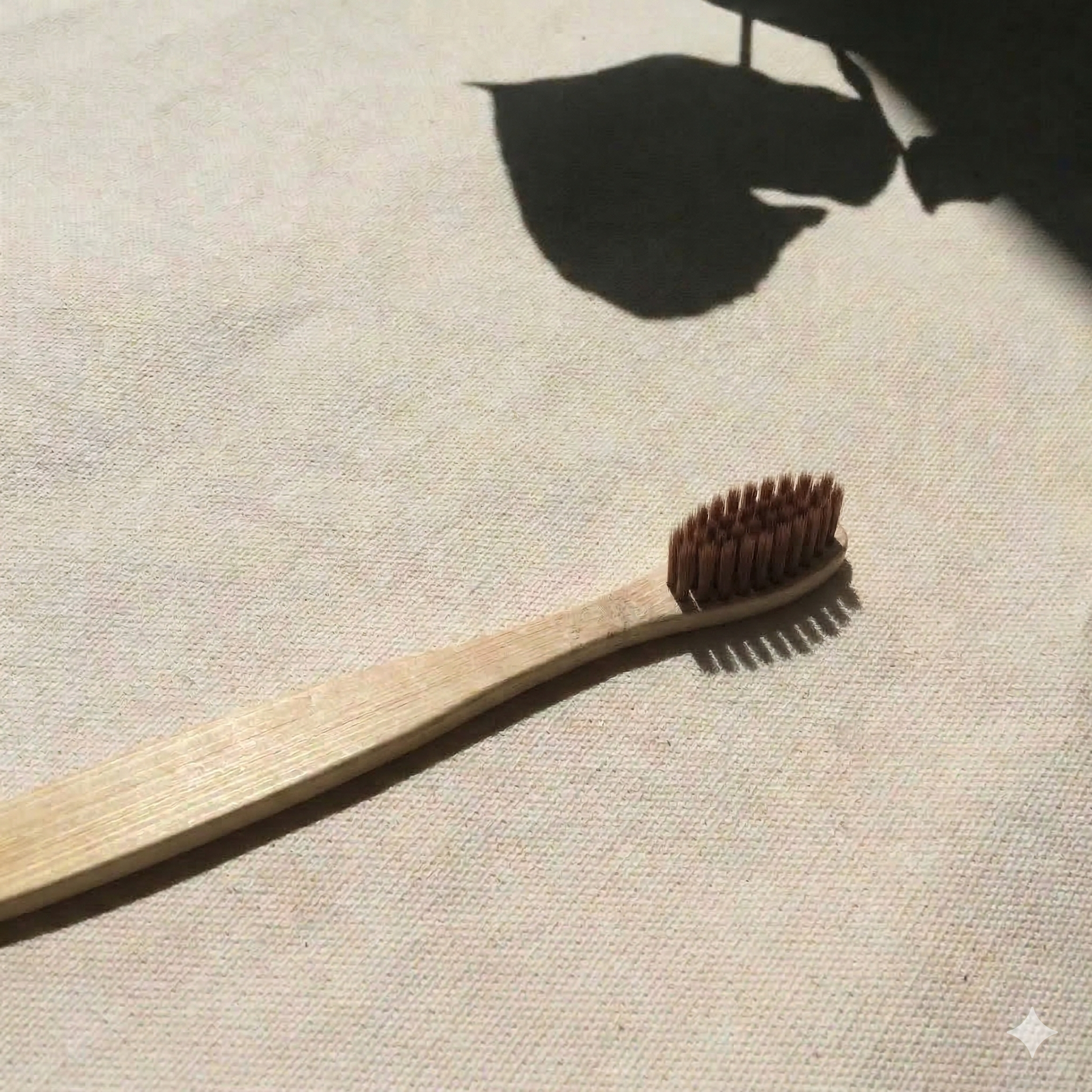 Cepillo de Dientes de Bambú